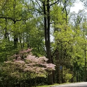 Meet your Posher, Will